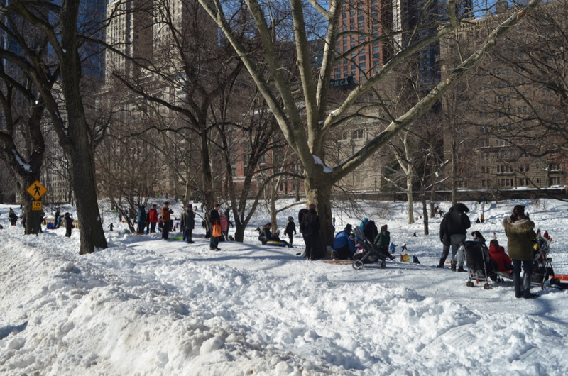 Illustration for article titled Central Park: After the Storm
